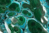 Vibrant Polished Malachite with Chrysocolla - DR Congo #320441-2